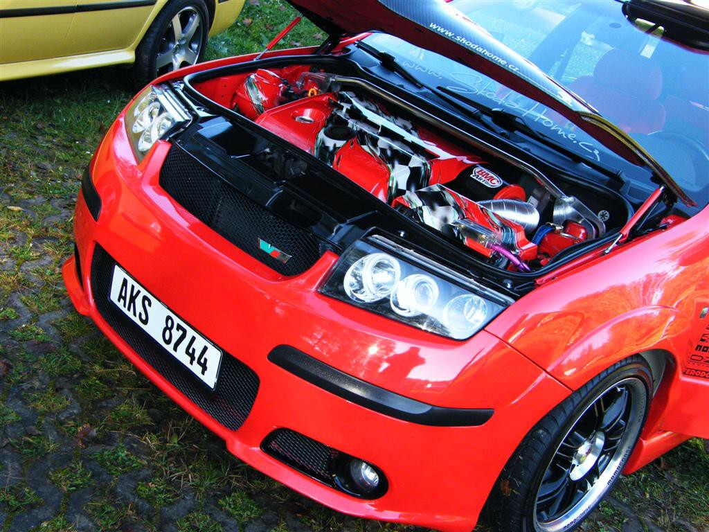 Biny podzim 2008
