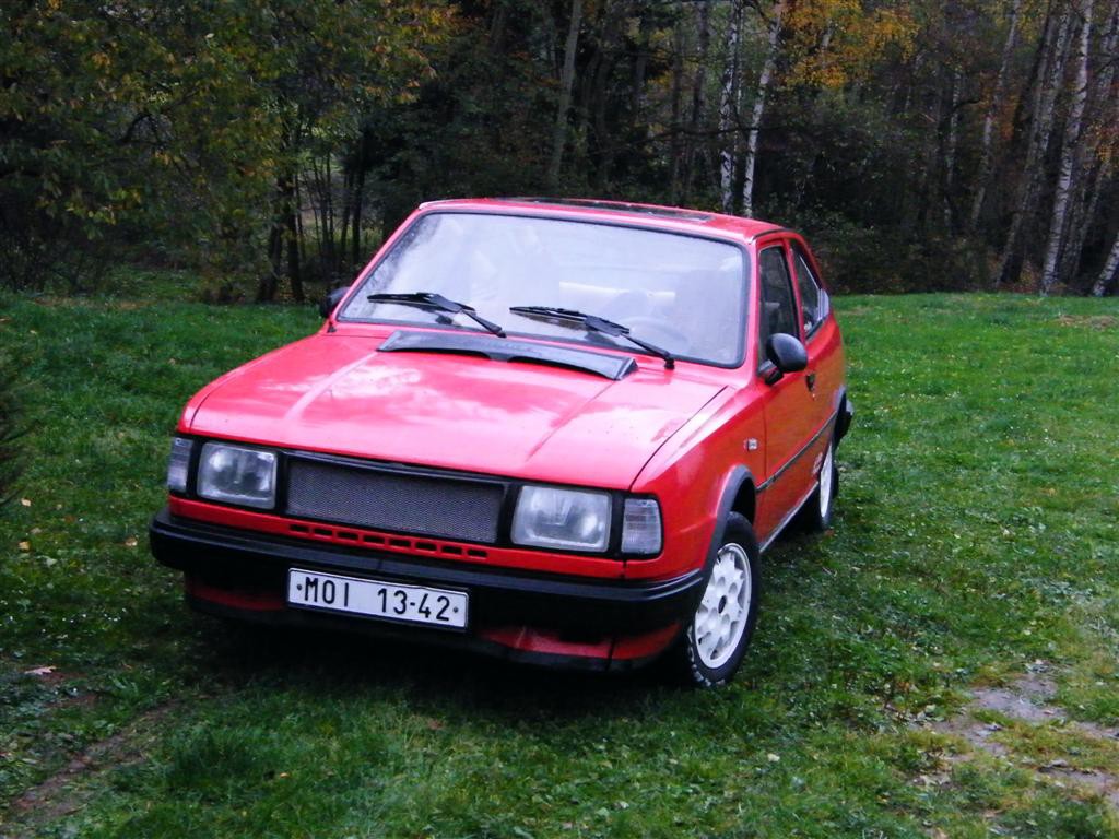 Biny podzim 2008