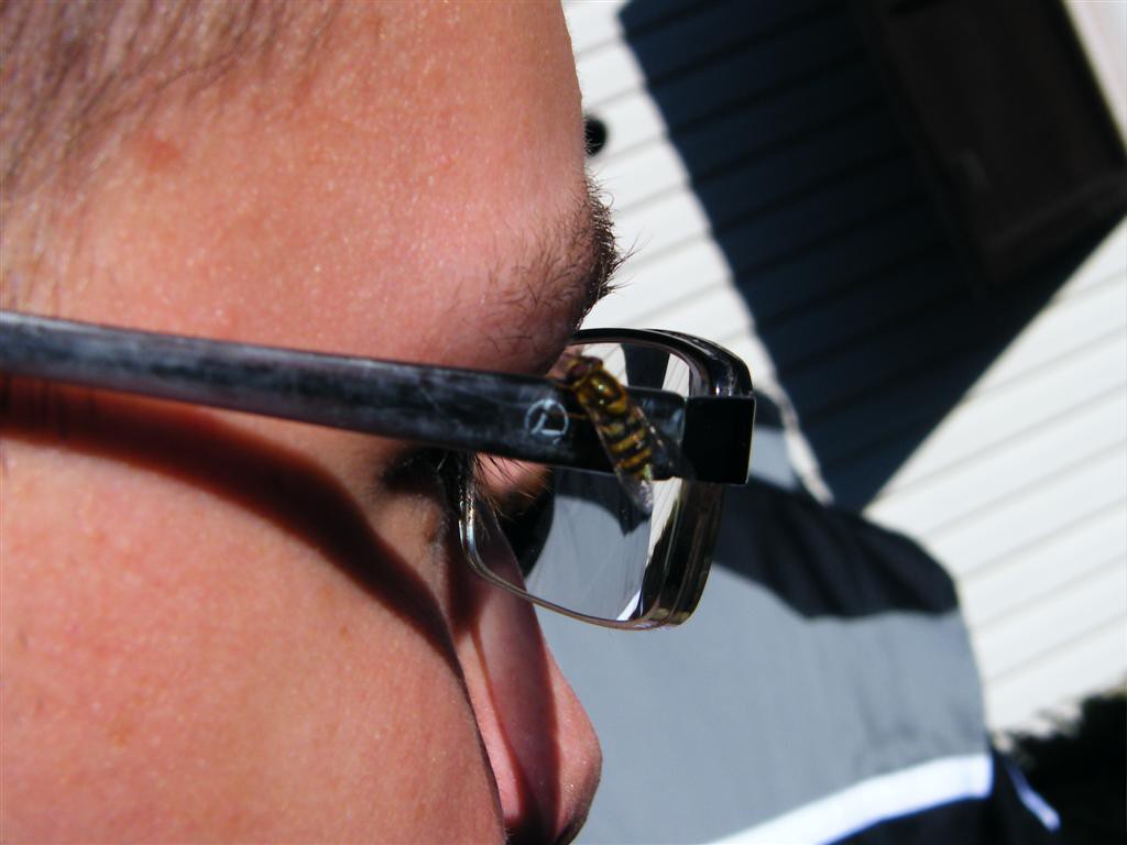 Biny podzim 2008