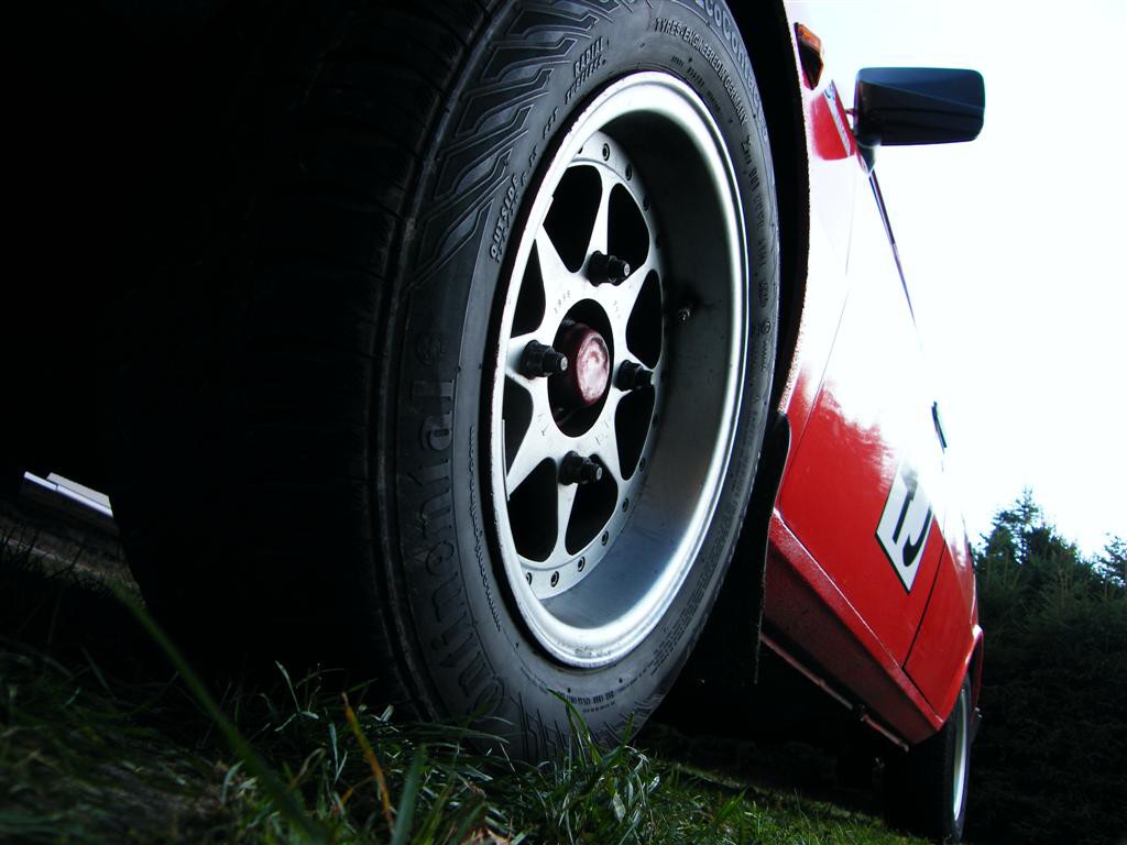 Biny podzim 2008