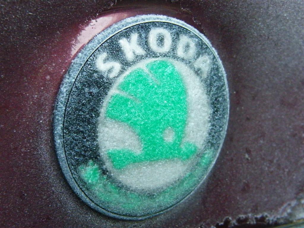 Biny podzim 2008