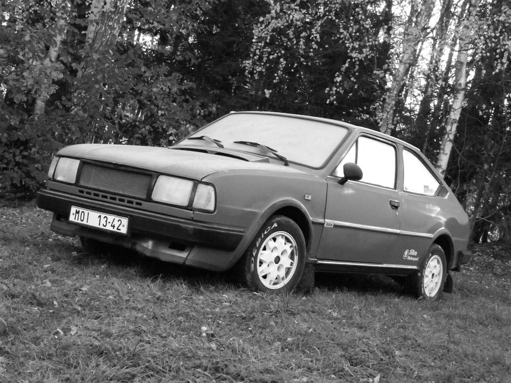 Biny podzim 2008