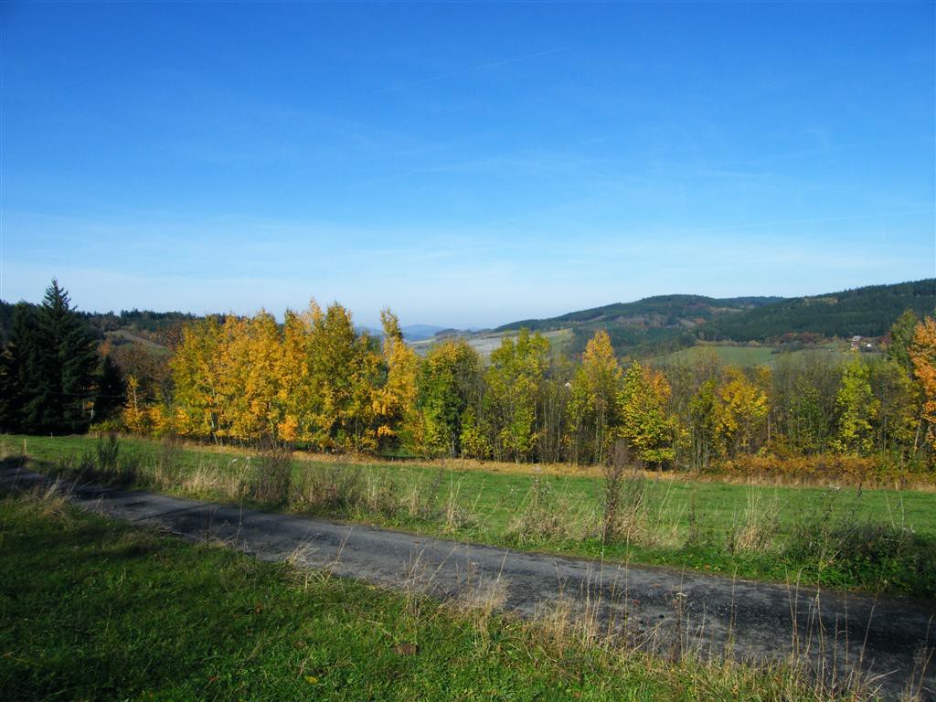 Biny podzim 2008
