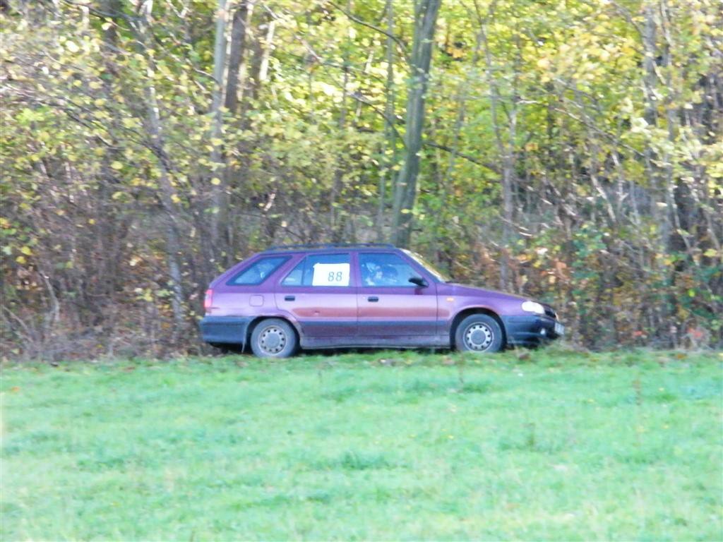 Biny podzim 2008