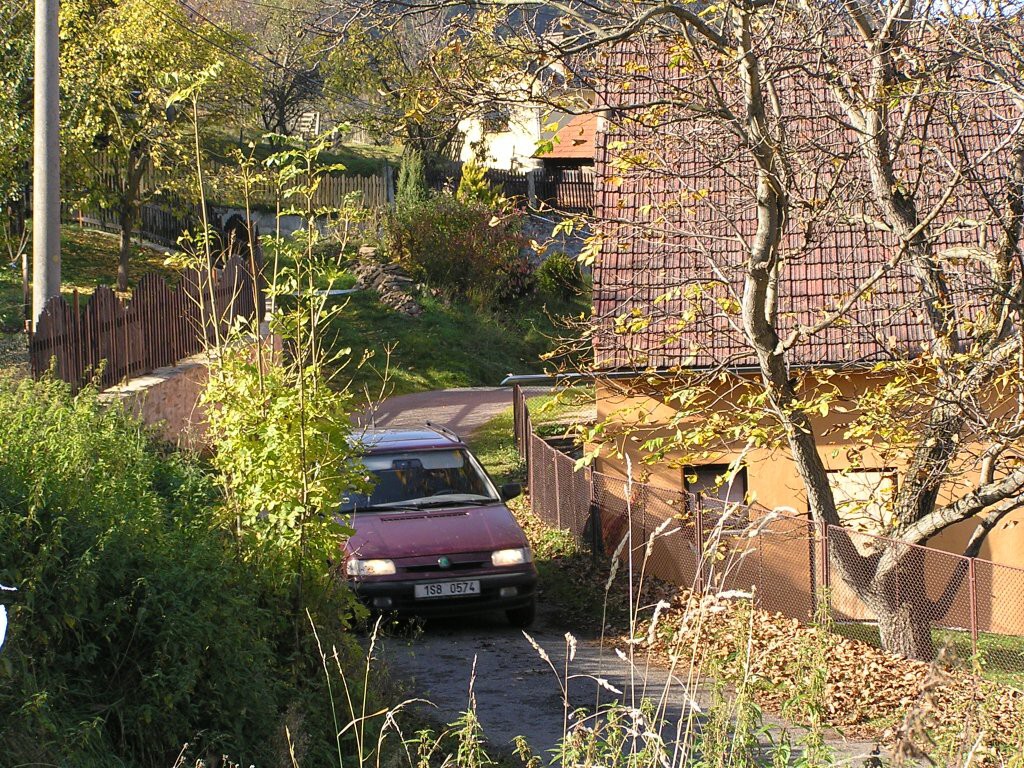Biny podzim 2008