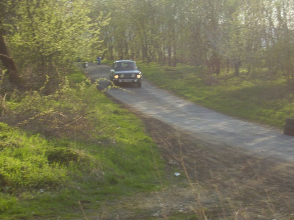 Biny 2008, z trat ostatn