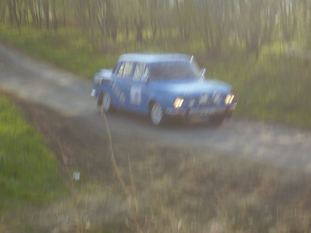Biny 2008, z trat ostatn