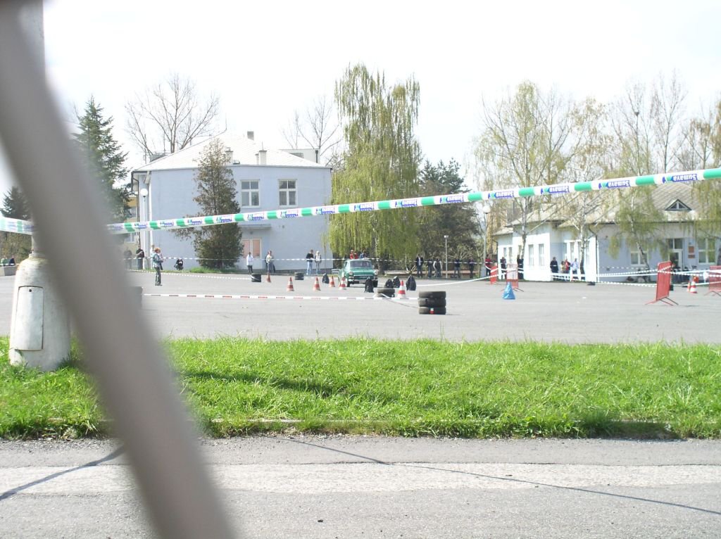 Biny 2008, z trat ostatn